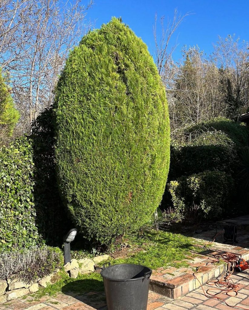 whatsapp image 2026 01 19 at 21.52.07 (2)