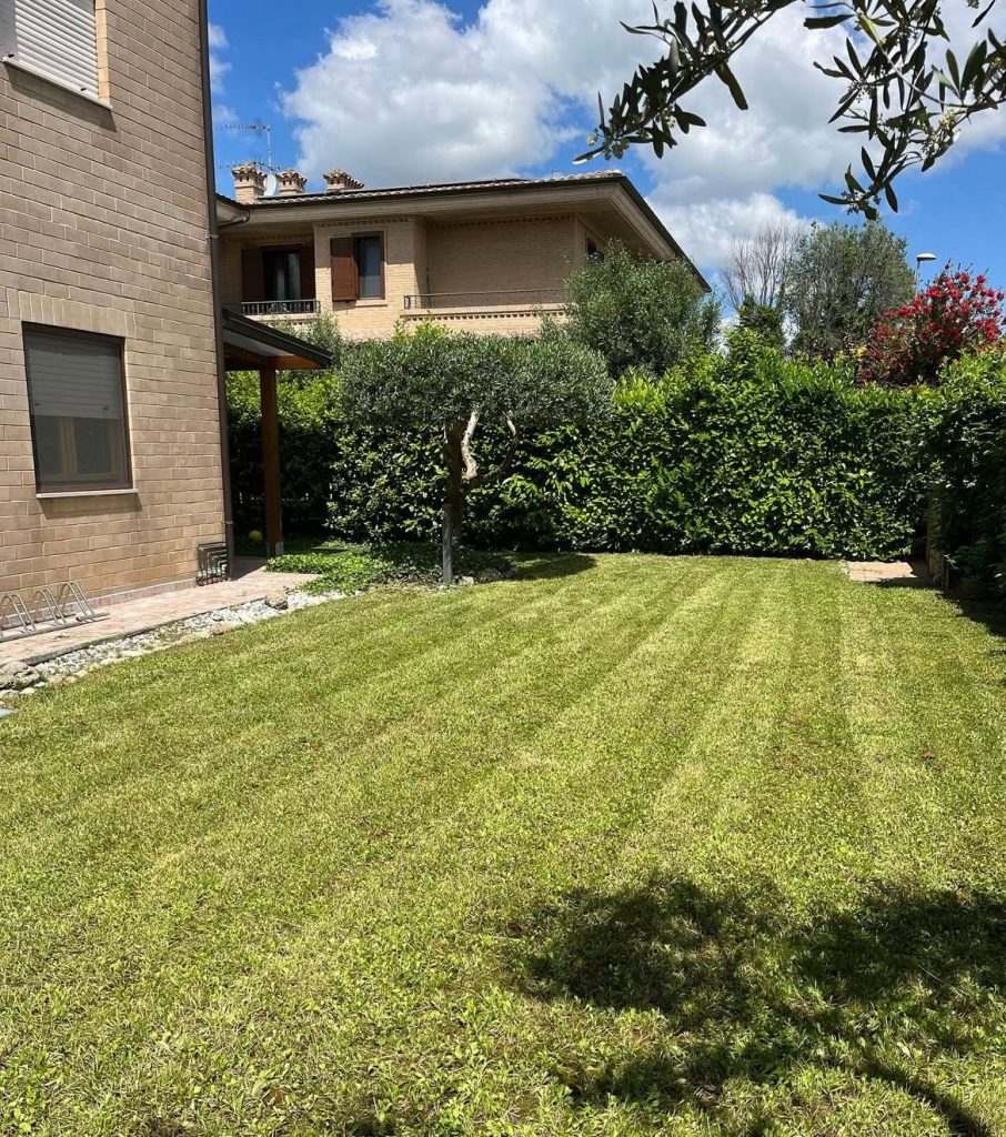 whatsapp image 2026 01 19 at 21.52.07 (4)