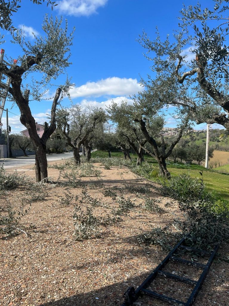 whatsapp image 2026 03 31 at 21.31.43 (6)