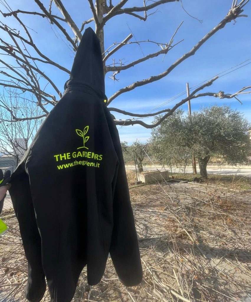 whatsapp image 2026 04 04 at 19.19.01