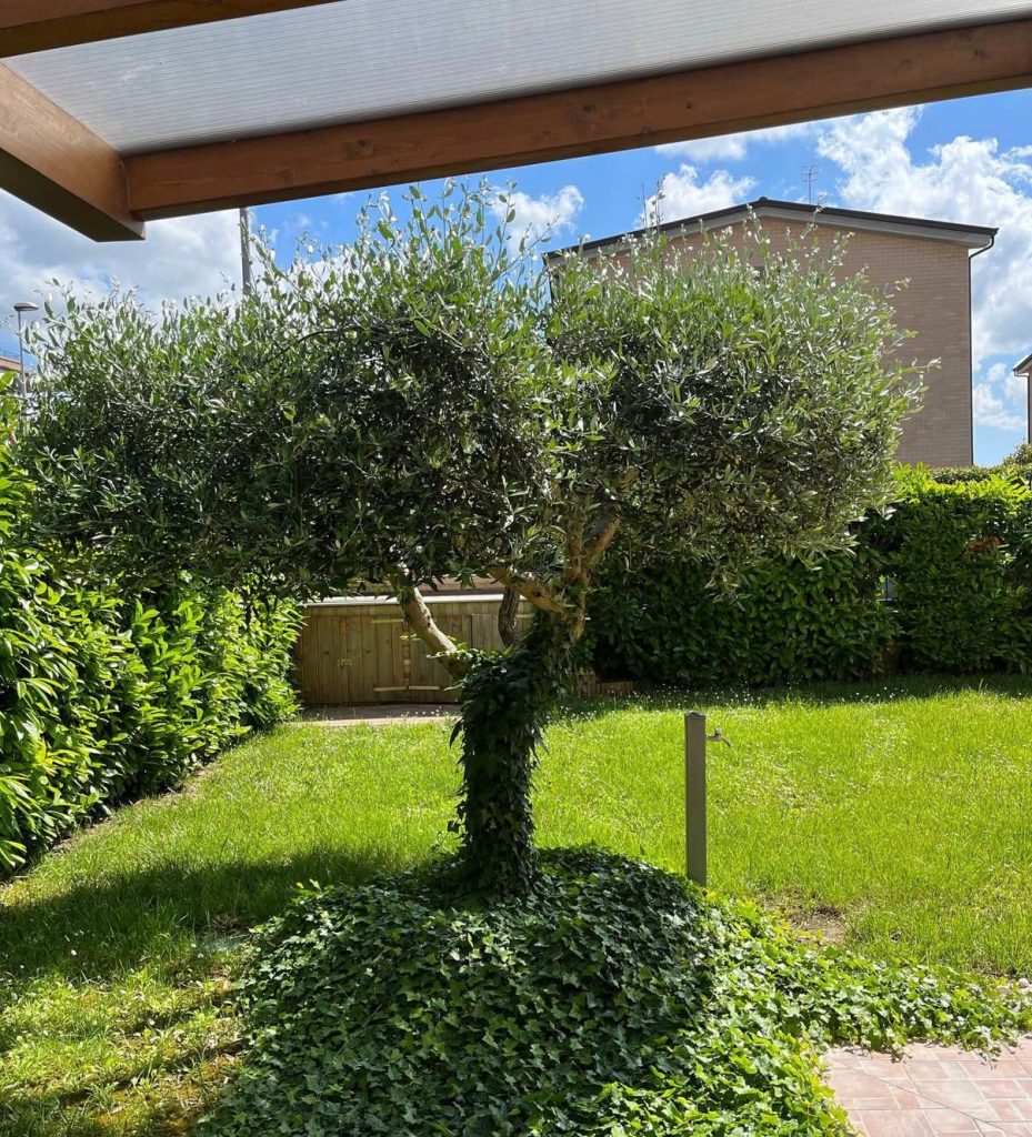 whatsapp image 2026 04 04 at 19.19.02 (2)