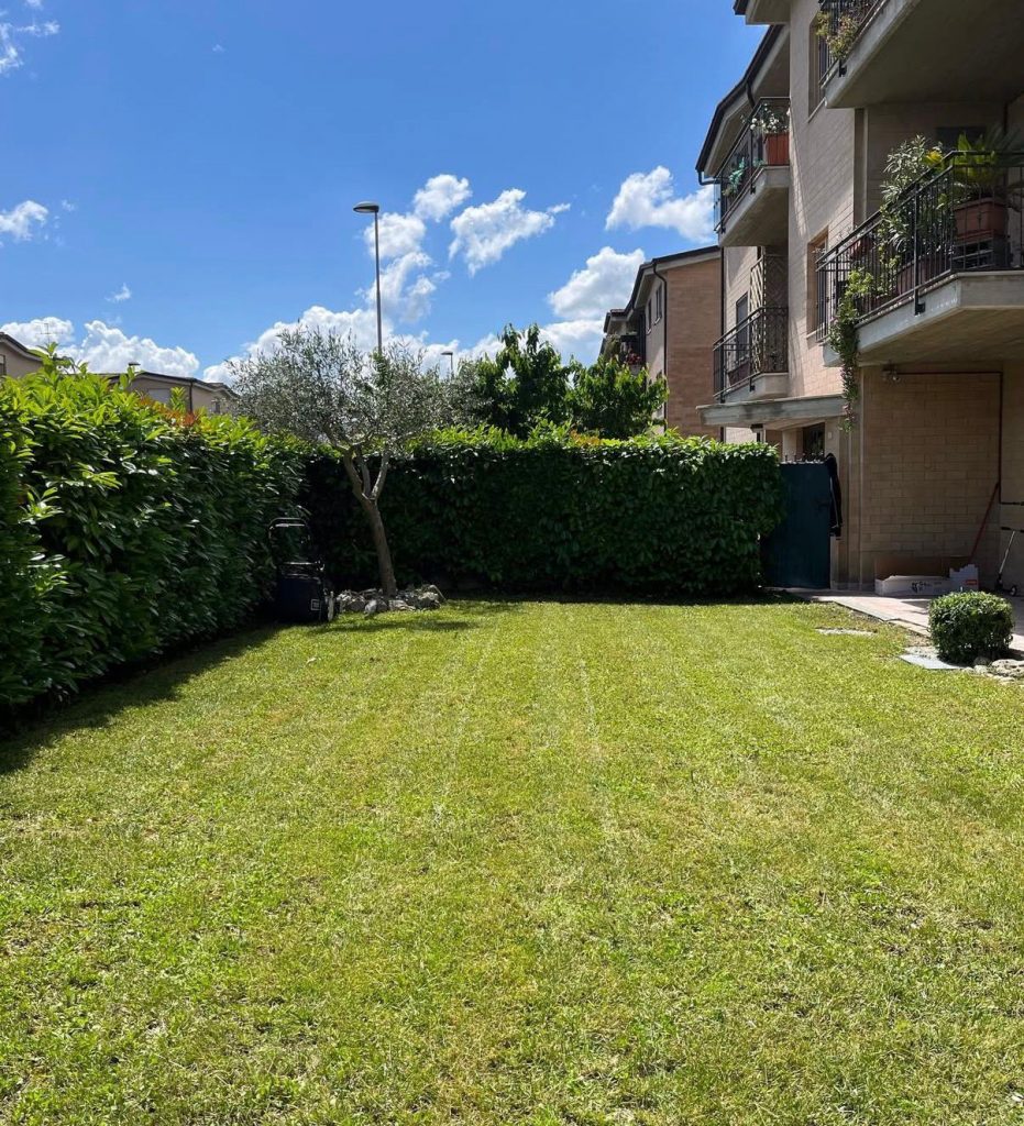 whatsapp image 2026 04 04 at 19.19.02 (3)