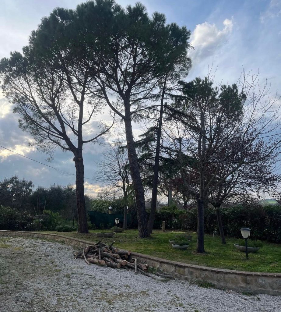 whatsapp image 2026 04 04 at 19.19.02