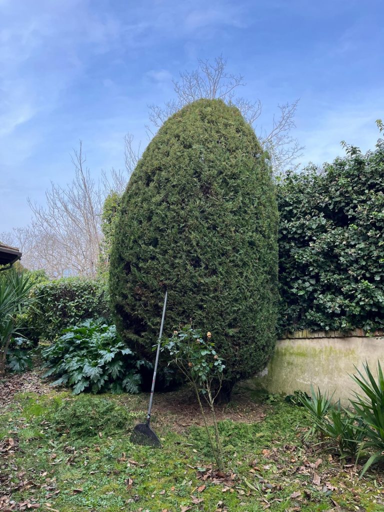 whatsapp image 2026 04 07 at 21.01.58