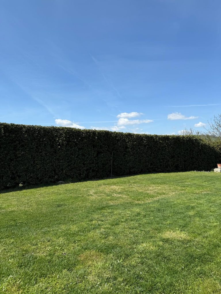 whatsapp image 2026 04 07 at 21.01.59 (2)