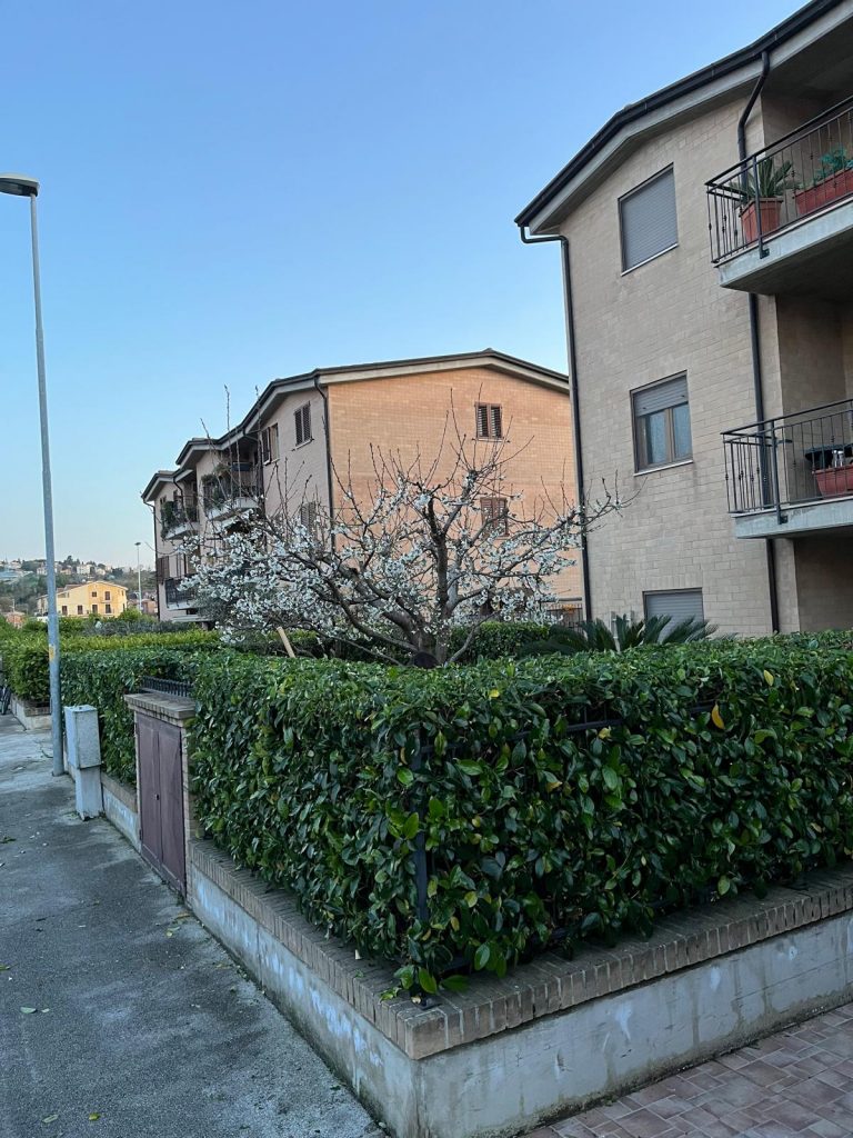 whatsapp image 2026 04 07 at 21.01.59 (3)