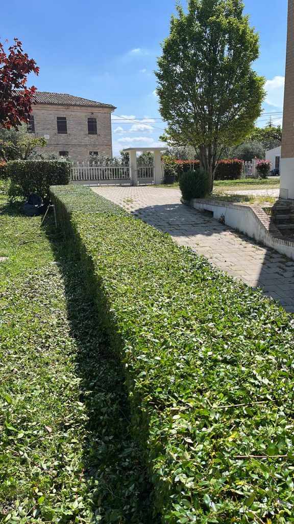 whatsapp image 2026 04 07 at 21.01.59 (5)