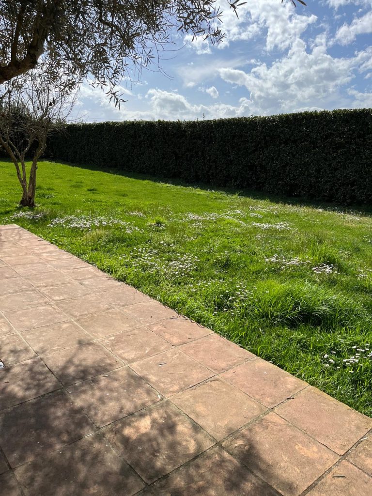 whatsapp image 2026 04 07 at 21.01.59