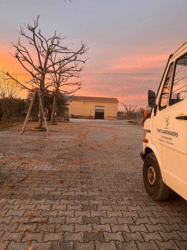 whatsapp image 2026 04 07 at 21.02.00 (3)