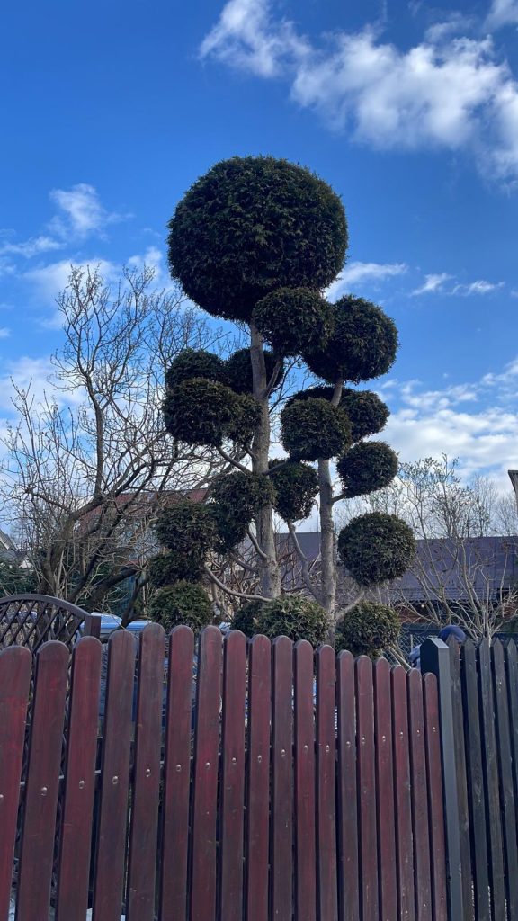 whatsapp image 2026 04 07 at 21.02.00 (5)