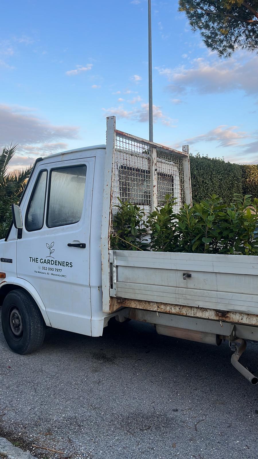 whatsapp image 2026 04 07 at 21.02.00 (6)