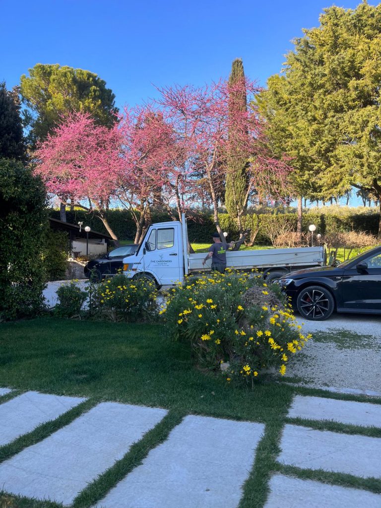 whatsapp image 2026 04 07 at 21.02.01